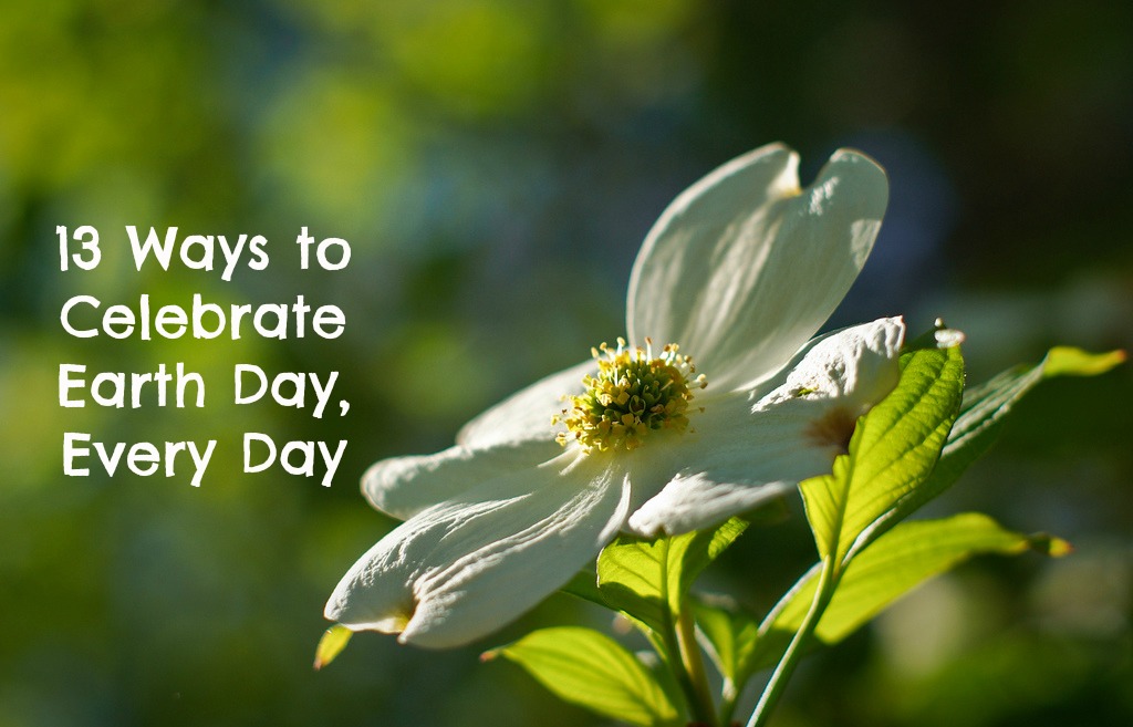 13 Ways to Celebrate Earth Day, Every Day
